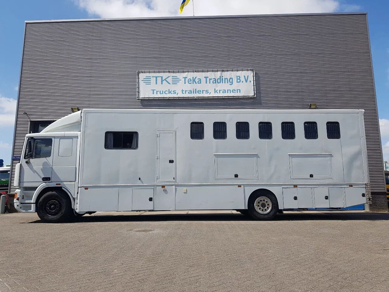 DAF 95.350 Paardenwagen met zitverblijf 7 paarden 7 horses - Camion transport cai: Foto 3 DAF 95.350 Paardenwagen met zitverblijf 7 paarden 7 horses - Camion transport cai: Foto 3