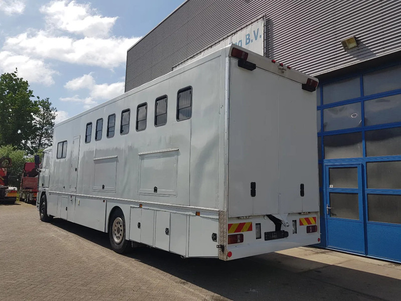 DAF 95.350 Paardenwagen met zitverblijf 7 paarden 7 horses - Camion transport cai: Foto 4 DAF 95.350 Paardenwagen met zitverblijf 7 paarden 7 horses - Camion transport cai: Foto 4