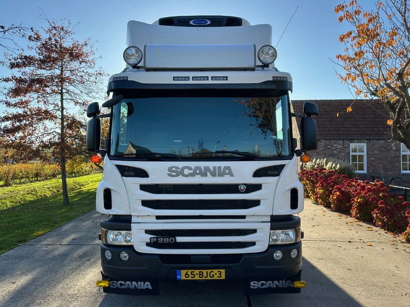 Scania P280 / NL TRUCK / EURO 6 / FULL AIR / CARRIER SUPRA 1250 / TOPCONDITION / LIFT+DOORS - Camion frigider: Foto 2 Scania P280 / NL TRUCK / EURO 6 / FULL AIR / CARRIER SUPRA 1250 / TOPCONDITION / LIFT+DOORS - Camion frigider: Foto 2
