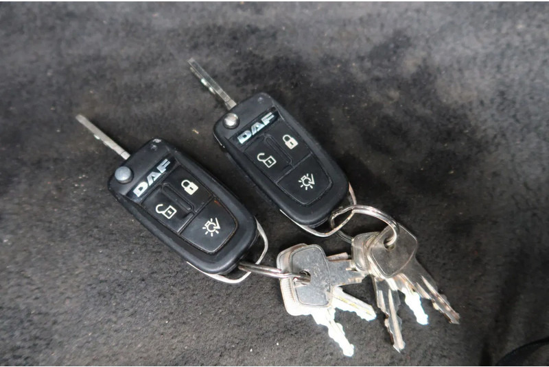 Cap tractor DAF XF 480 SSC 2x Tank Standard Trekker: Foto 13