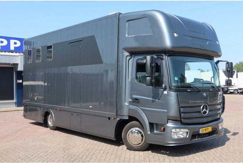Mercedes-Benz Atego 816 L 3 Paarden/4 Ponies Nieuwe APK + nieuwe accu. - Camion transport cai: Foto 2 Mercedes-Benz Atego 816 L 3 Paarden/4 Ponies Nieuwe APK + nieuwe accu. - Camion transport cai: Foto 2