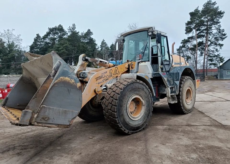 Liebherr L544 2 plus 2 - Încărcător frontal pe pneuri: Foto 2 Liebherr L544 2 plus 2 - Încărcător frontal pe pneuri: Foto 2