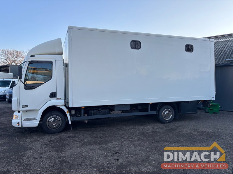 Leasing de DAF FA LF45.150 4 paards, laadlift. Horsetruck NL truck DAF FA LF45.150 4 paards, laadlift. Horsetruck NL truck: Foto 6