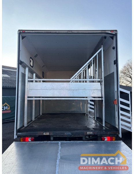 Leasing de DAF FA LF45.150 4 paards, laadlift. Horsetruck NL truck DAF FA LF45.150 4 paards, laadlift. Horsetruck NL truck: Foto 16