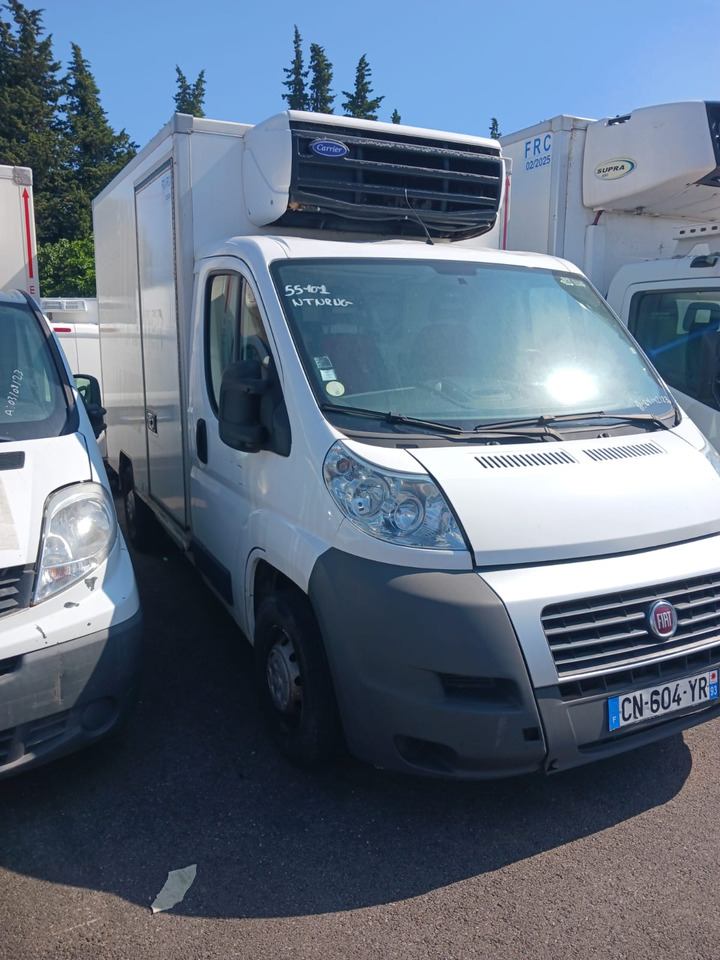 FIAT DUCATO KONTENER CHŁODNIA NR 784 - Autoutilitară frigorifica: Foto 1 FIAT DUCATO KONTENER CHŁODNIA NR 784 - Autoutilitară frigorifica: Foto 1