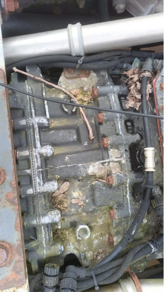 Renault Premium 420 Dci Engine + Automatic Gearbox - Motor pentru Camion: Foto 5 Renault Premium 420 Dci Engine + Automatic Gearbox - Motor pentru Camion: Foto 5