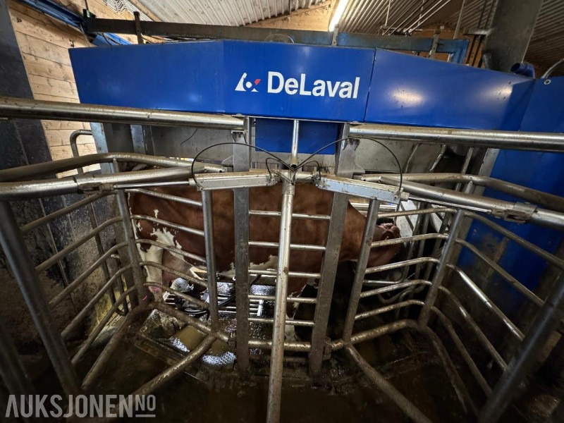 2013 DeLaval VMS melkerobot med 1 kraftfôrstasjon FSC40 - Høyre utgave - Steam - Innredning og grinder foran - Vakuumpumpe - Fortsatt i daglig drift - Utilaje agricole: Foto 5 2013 DeLaval VMS melkerobot med 1 kraftfôrstasjon FSC40 - Høyre utgave - Steam - Innredning og grinder foran - Vakuumpumpe - Fortsatt i daglig drift - Utilaje agricole: Foto 5