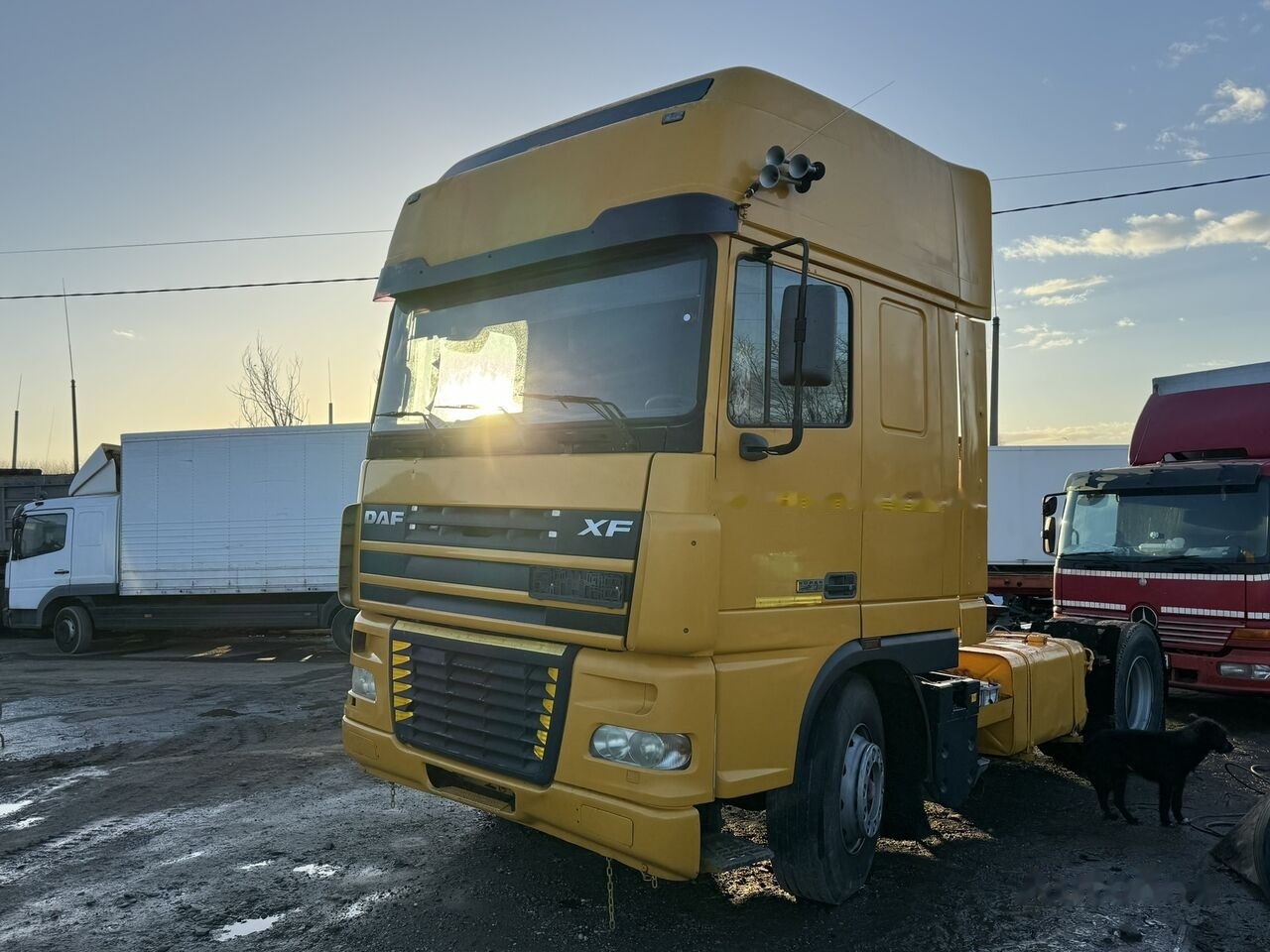 Cap tractor DAF XF95 430 ATI RETARDER EXPORT: Foto 11
