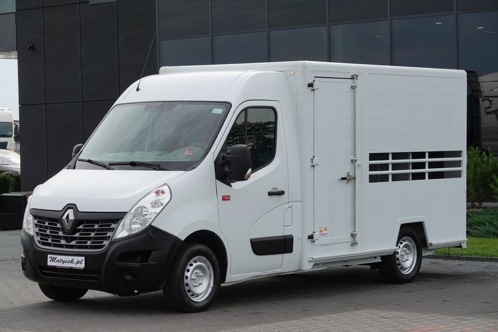 Renault DO ŻYWCA / DO PRZEWOZU ZWIERZĄT / 2016 ROK / SP - Camion transport animale, Autoutilitară: Foto 2 Renault DO ŻYWCA / DO PRZEWOZU ZWIERZĄT / 2016 ROK / SP - Camion transport animale, Autoutilitară: Foto 2