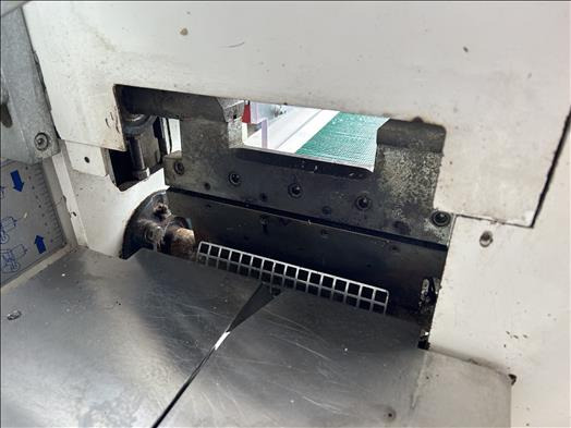 Maşina de ambalat Record Panda1000 Flow wrapper: Foto 6 Maşina de ambalat Record Panda1000 Flow wrapper: Foto 6