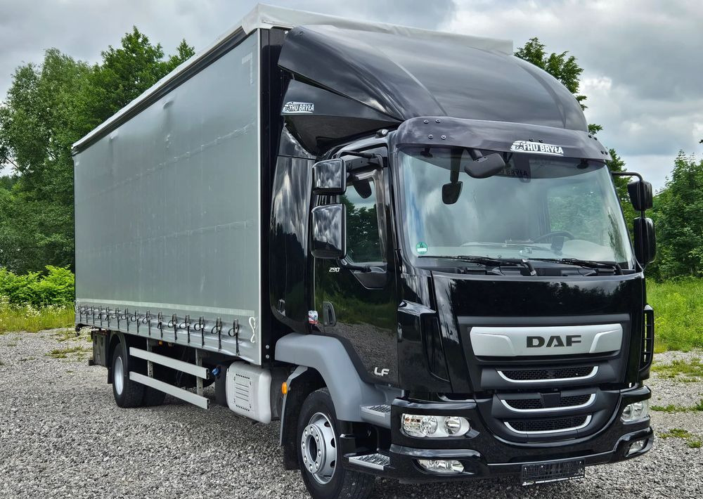 DAF LF 290 / WINDA / 16TON DMC / FIRANKA / AUTOMAT / JEDEN WŁAŚCICIE / EURO 6 / 2019 / SPROWADZONY / 20PALET / NISKI PRZEBIEG / DUŻA ŁADOWNOŚĆ / JAK NOWY - Camion cu prelată: Foto 3 DAF LF 290 / WINDA / 16TON DMC / FIRANKA / AUTOMAT / JEDEN WŁAŚCICIE / EURO 6 / 2019 / SPROWADZONY / 20PALET / NISKI PRZEBIEG / DUŻA ŁADOWNOŚĆ / JAK NOWY - Camion cu prelată: Foto 3