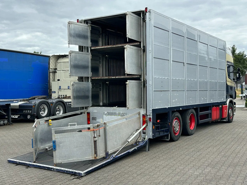 Scania R420 6x2 Topline / 3 Stock Animal Transport / Retarder / Euro 5 - Camion transport animale: Foto 5 Scania R420 6x2 Topline / 3 Stock Animal Transport / Retarder / Euro 5 - Camion transport animale: Foto 5