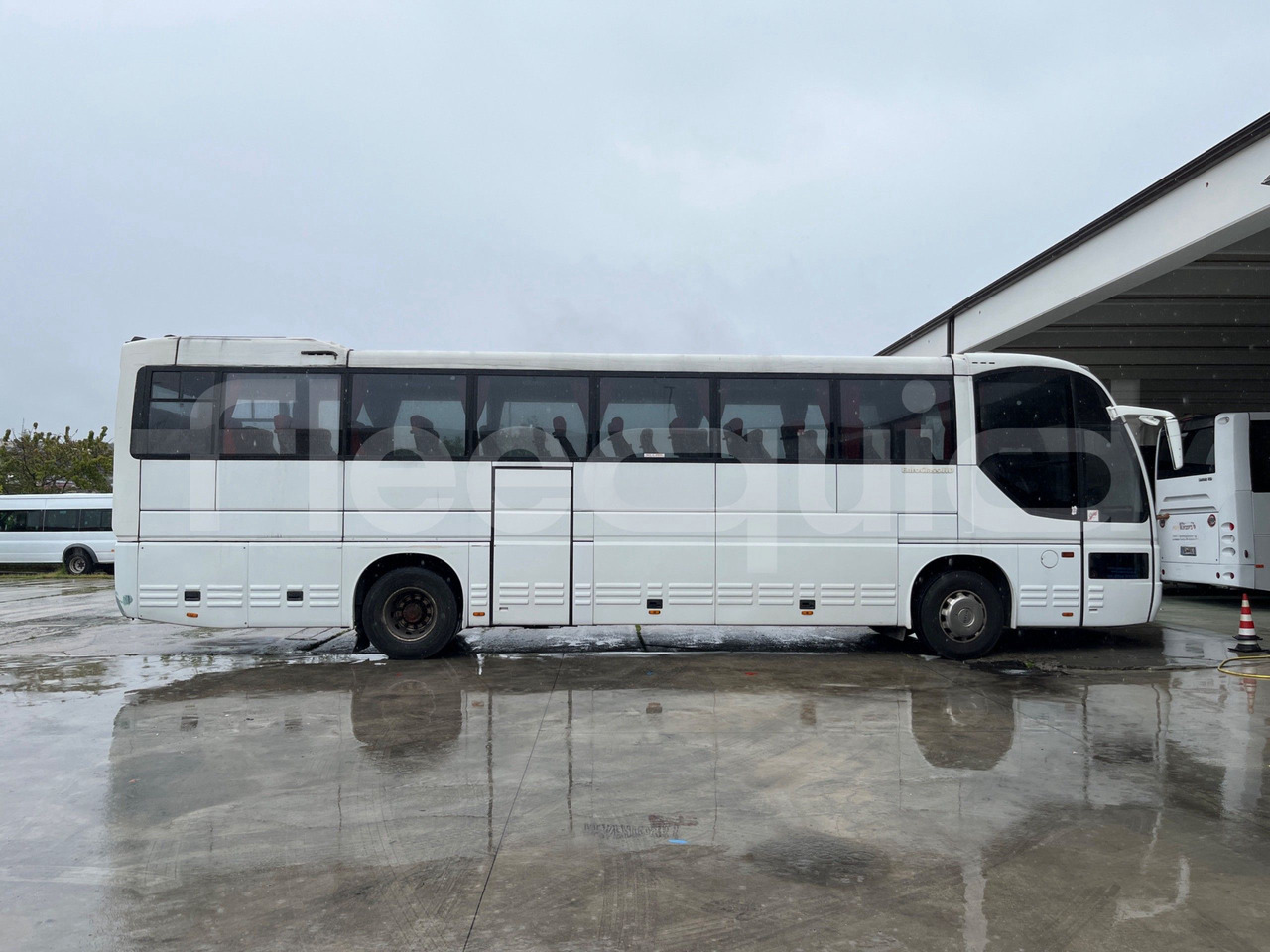 Autocar Iveco Euroclass: Foto 13