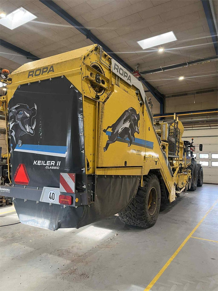 Ropa KEILER II WD CLASSIC - Combină de recoltat cartofi: Foto 2 Ropa KEILER II WD CLASSIC - Combină de recoltat cartofi: Foto 2