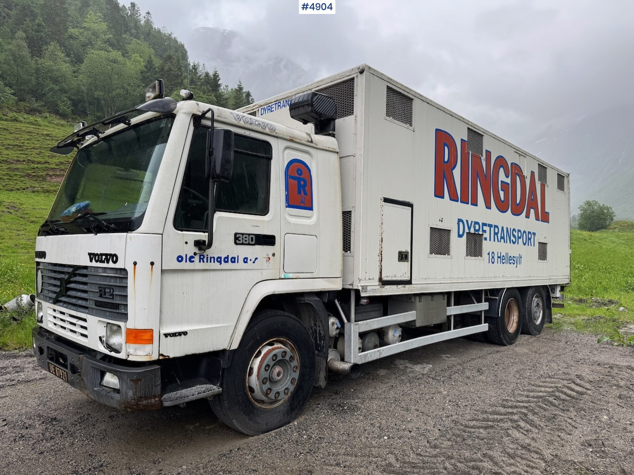 1996 Volvo FL12 6x2 Animal transport. - Camion transport animale: Foto 4 1996 Volvo FL12 6x2 Animal transport. - Camion transport animale: Foto 4