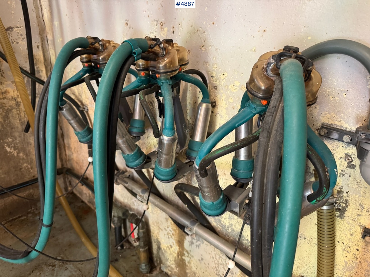 Westfalia Dairy Plant. - Echipamente pentru muls: Foto 4 Westfalia Dairy Plant. - Echipamente pentru muls: Foto 4