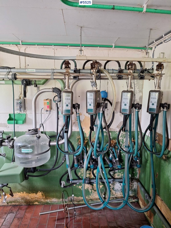Westfalia Melkeanlegg - Echipamente pentru muls: Foto 1 Westfalia Melkeanlegg - Echipamente pentru muls: Foto 1