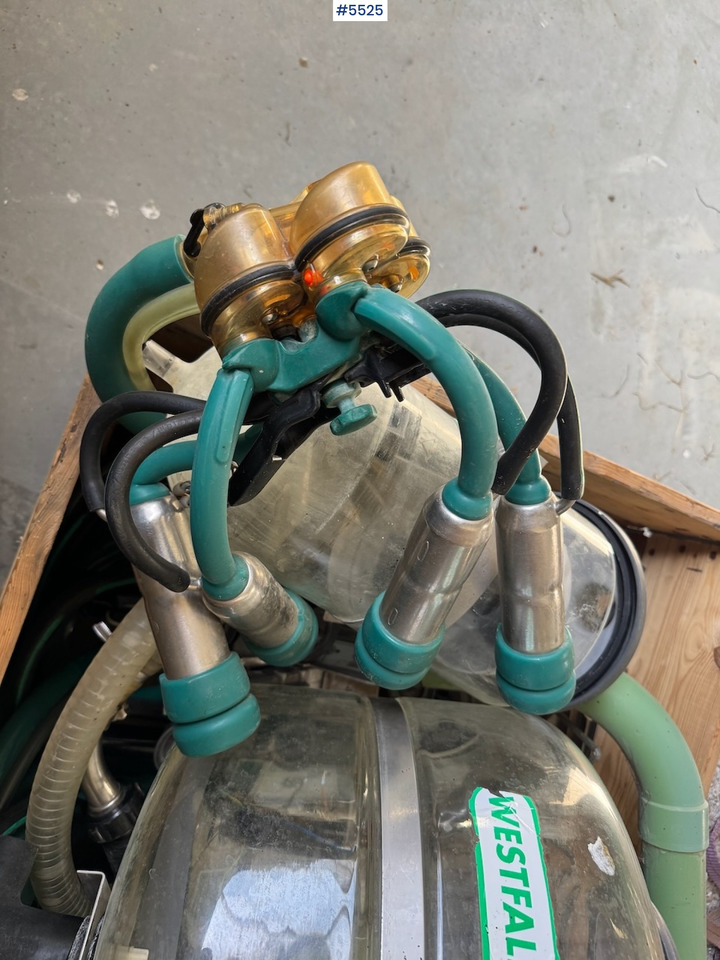 Westfalia Melkeanlegg - Echipamente pentru muls: Foto 4 Westfalia Melkeanlegg - Echipamente pentru muls: Foto 4