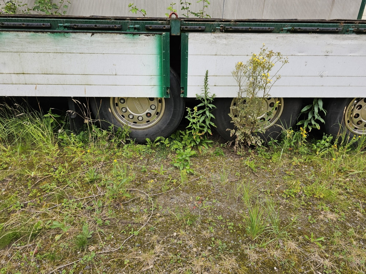 SCHMIDT-Hagen SPC/38/E/13,6 - Remorcă agricolă: Foto 5 SCHMIDT-Hagen SPC/38/E/13,6 - Remorcă agricolă: Foto 5