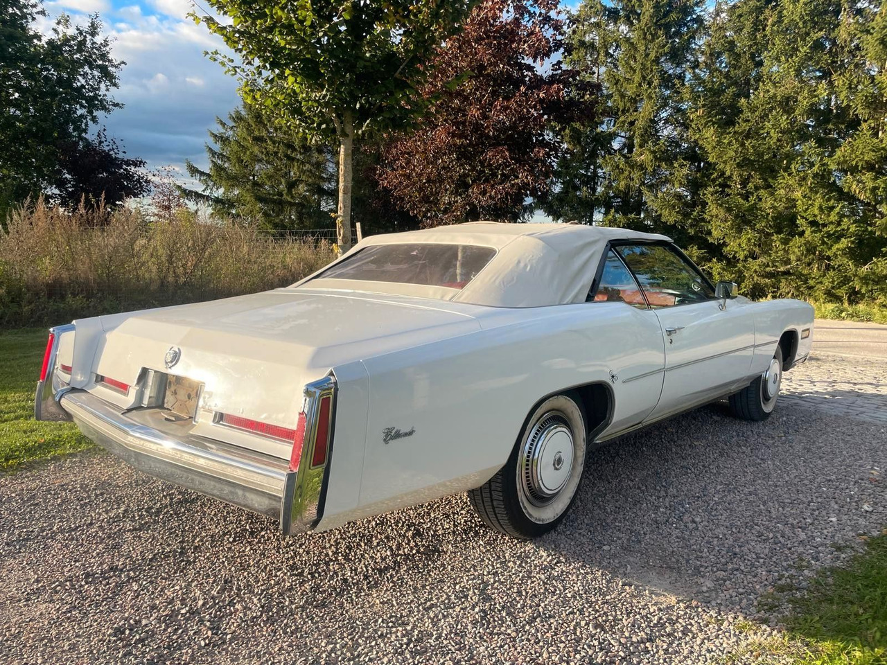 Cadillac Eldorado Convertible - Cabrio: Foto 4 Cadillac Eldorado Convertible - Cabrio: Foto 4