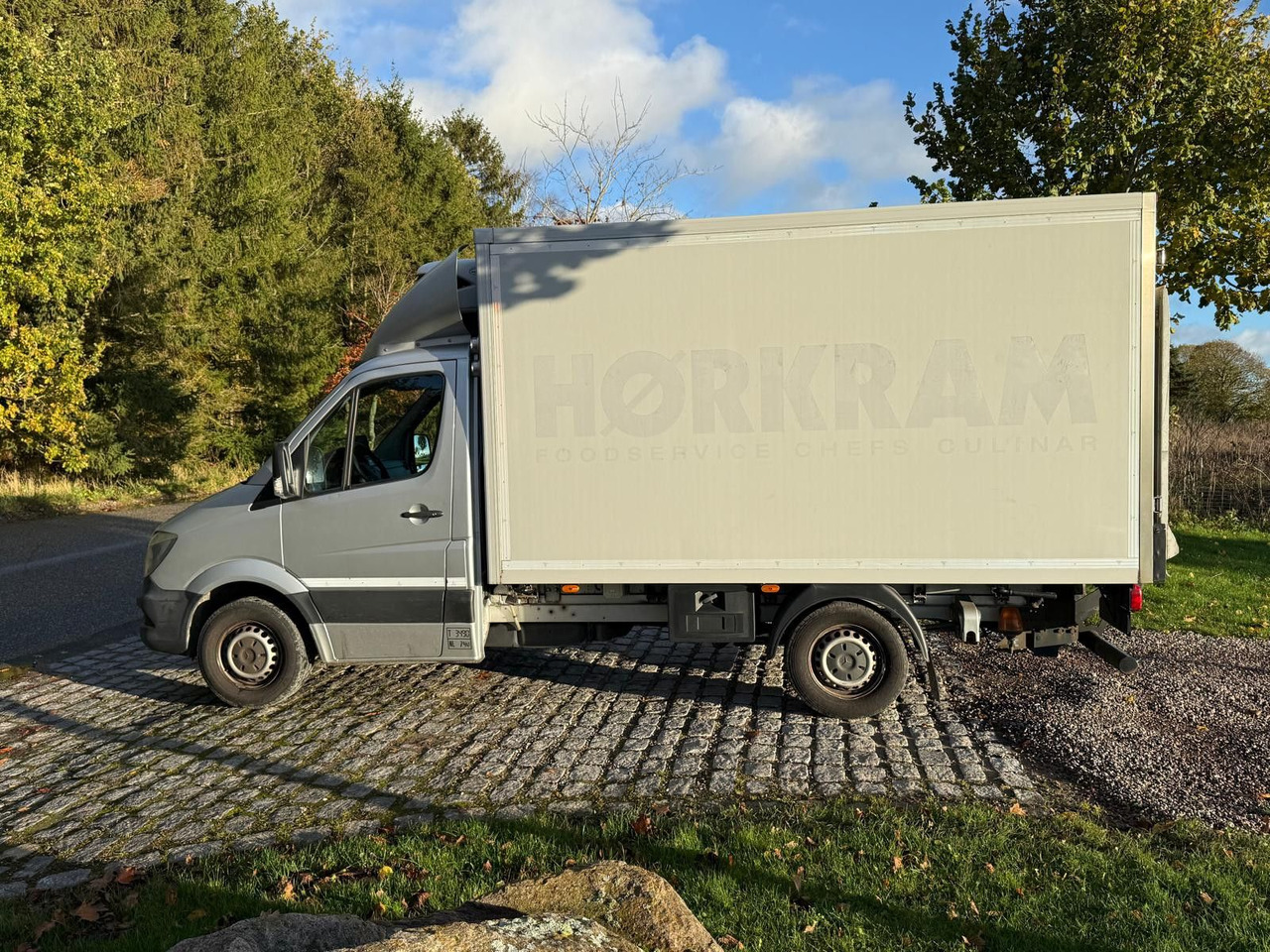 Mercedes-Benz Sprinter II 316 CDI Aut. Refigerator BOX +Lift - Autoutilitară frigorifica: Foto 5 Mercedes-Benz Sprinter II 316 CDI Aut. Refigerator BOX +Lift - Autoutilitară frigorifica: Foto 5