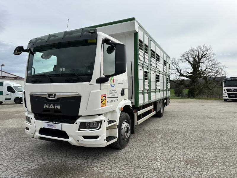 MAN M 90 15.290 TGM - Camion transport animale: Foto 1 MAN M 90 15.290 TGM - Camion transport animale: Foto 1