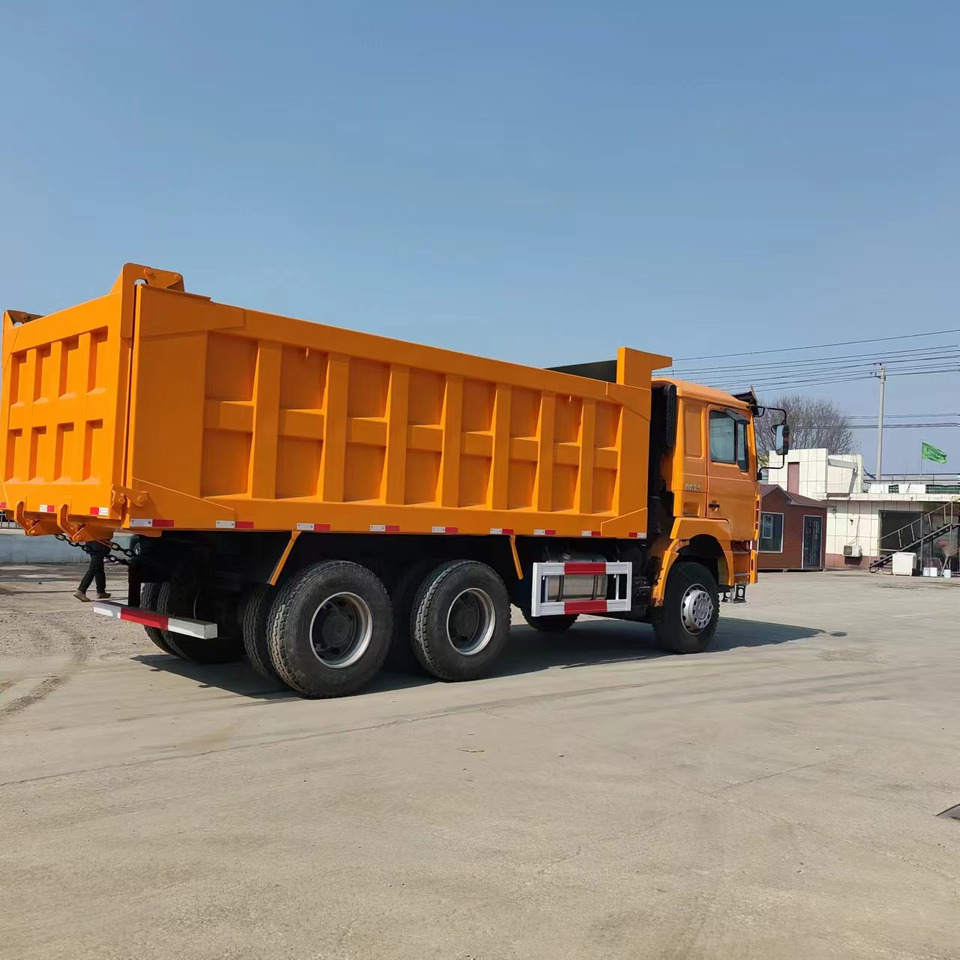 Camion basculantă SHACMAN F3000: Foto 8