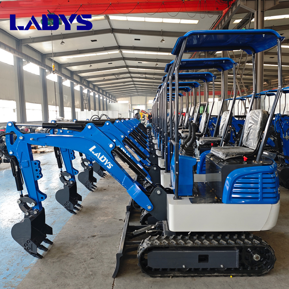 Free Shipping Mini Excavator Bagger Pelle Miniexcavadora 1 2 3.5 Ton CE/EPA/EURO 5 Kubota Engine Diesel/Electric Mini Excavators For Sale - Excavator pe şenile: Foto 1 Free Shipping Mini Excavator Bagger Pelle Miniexcavadora 1 2 3.5 Ton CE/EPA/EURO 5 Kubota Engine Diesel/Electric Mini Excavators For Sale - Excavator pe şenile: Foto 1
