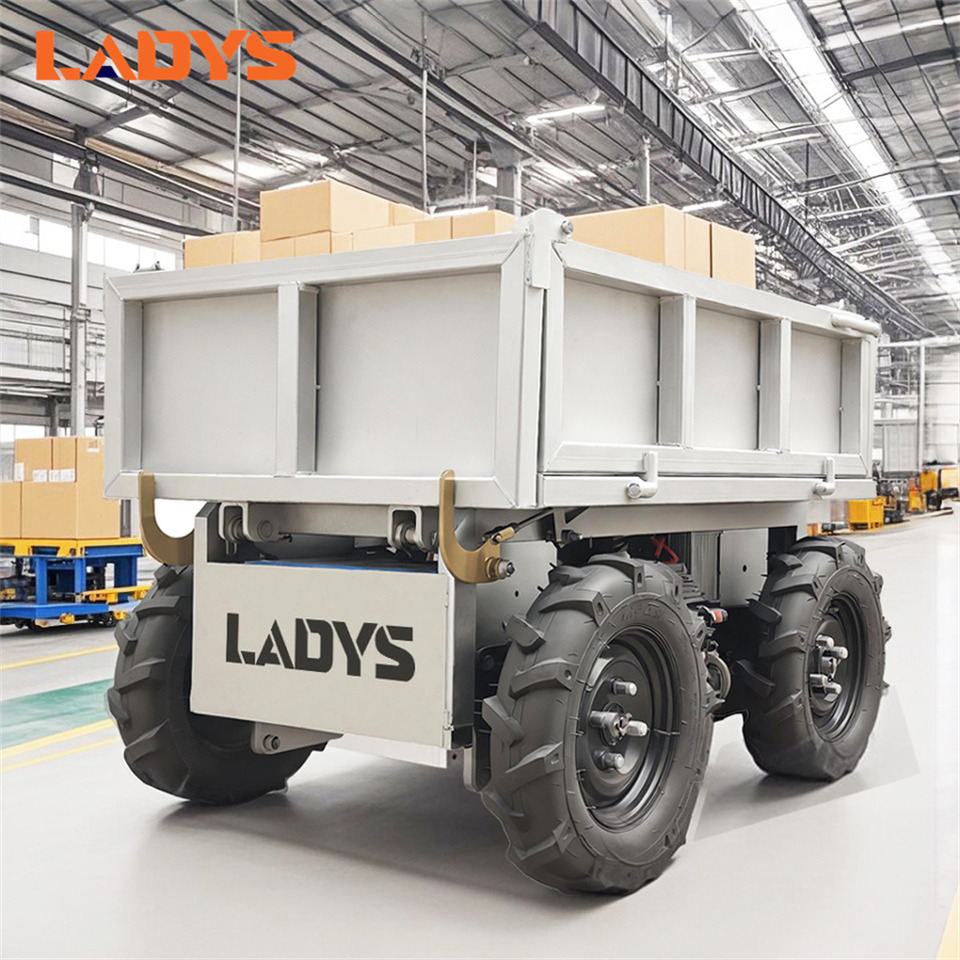 LADYS Electric Remote Control Transporter Agricultural Orchard Farm Electric Utv Material Handling Equipment All Terrain Transport Vehicle - Atv: Foto 4 LADYS Electric Remote Control Transporter Agricultural Orchard Farm Electric Utv Material Handling Equipment All Terrain Transport Vehicle - Atv: Foto 4