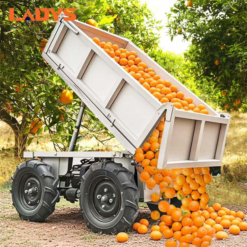 LADYS Electric Remote Control Transporter Agricultural Orchard Farm Electric Utv Material Handling Equipment All Terrain Transport Vehicle - Atv: Foto 2 LADYS Electric Remote Control Transporter Agricultural Orchard Farm Electric Utv Material Handling Equipment All Terrain Transport Vehicle - Atv: Foto 2