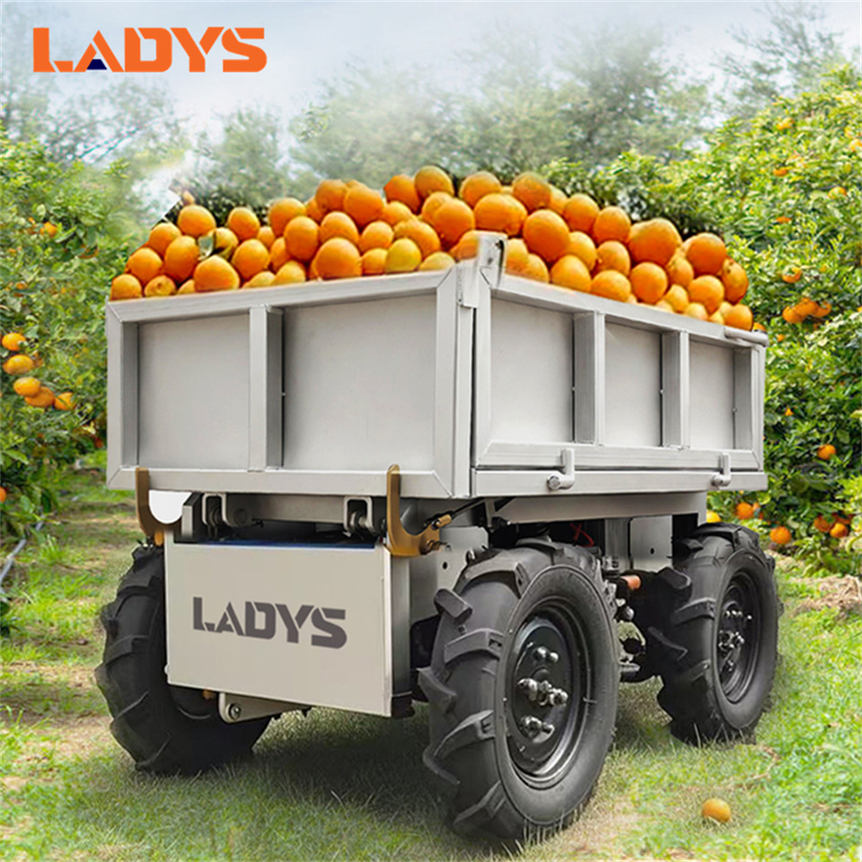 LADYS Electric Remote Control Transporter Agricultural Orchard Farm Electric Utv Material Handling Equipment All Terrain Transport Vehicle - Atv: Foto 1 LADYS Electric Remote Control Transporter Agricultural Orchard Farm Electric Utv Material Handling Equipment All Terrain Transport Vehicle - Atv: Foto 1