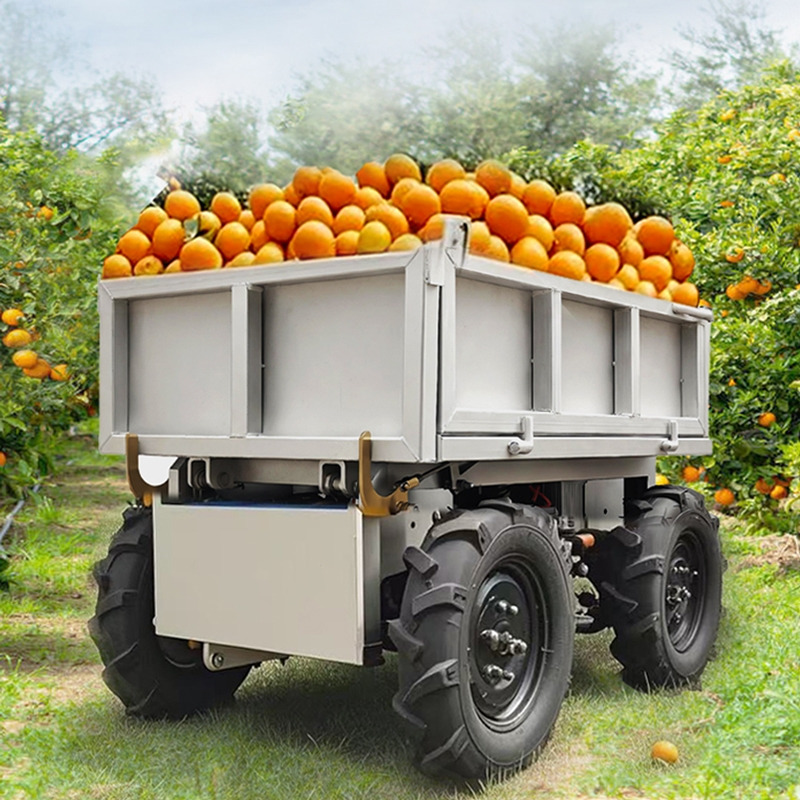 LEZUM Electric Remote Control Transporter Agricultural Orchard Farm Electric Utv Material Handling Equipment All Terrain Transport Vehicle - Atv: Foto 5 LEZUM Electric Remote Control Transporter Agricultural Orchard Farm Electric Utv Material Handling Equipment All Terrain Transport Vehicle - Atv: Foto 5