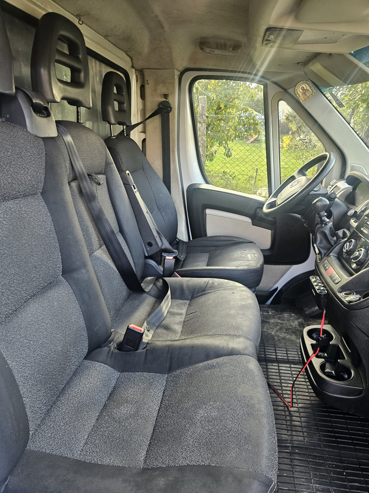 Fiat Ducato 10 Europallets - Autoutilitară cu prelată: Foto 4 Fiat Ducato 10 Europallets - Autoutilitară cu prelată: Foto 4