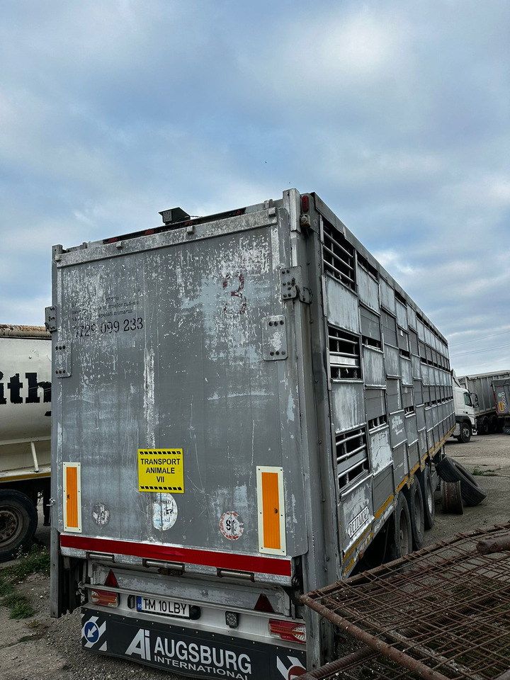 PEZZAIOLLI Animal Transport Semi-trailer - Semiremorcă transport animale: Foto 3 PEZZAIOLLI Animal Transport Semi-trailer - Semiremorcă transport animale: Foto 3