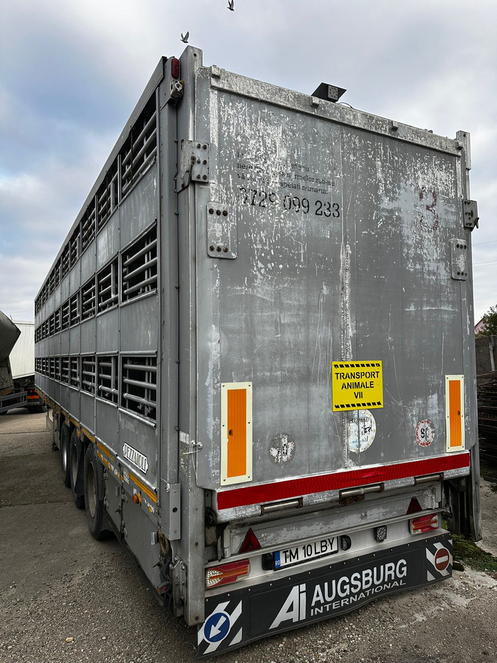 PEZZAIOLLI Animal Transport Semi-trailer - Semiremorcă transport animale: Foto 4 PEZZAIOLLI Animal Transport Semi-trailer - Semiremorcă transport animale: Foto 4