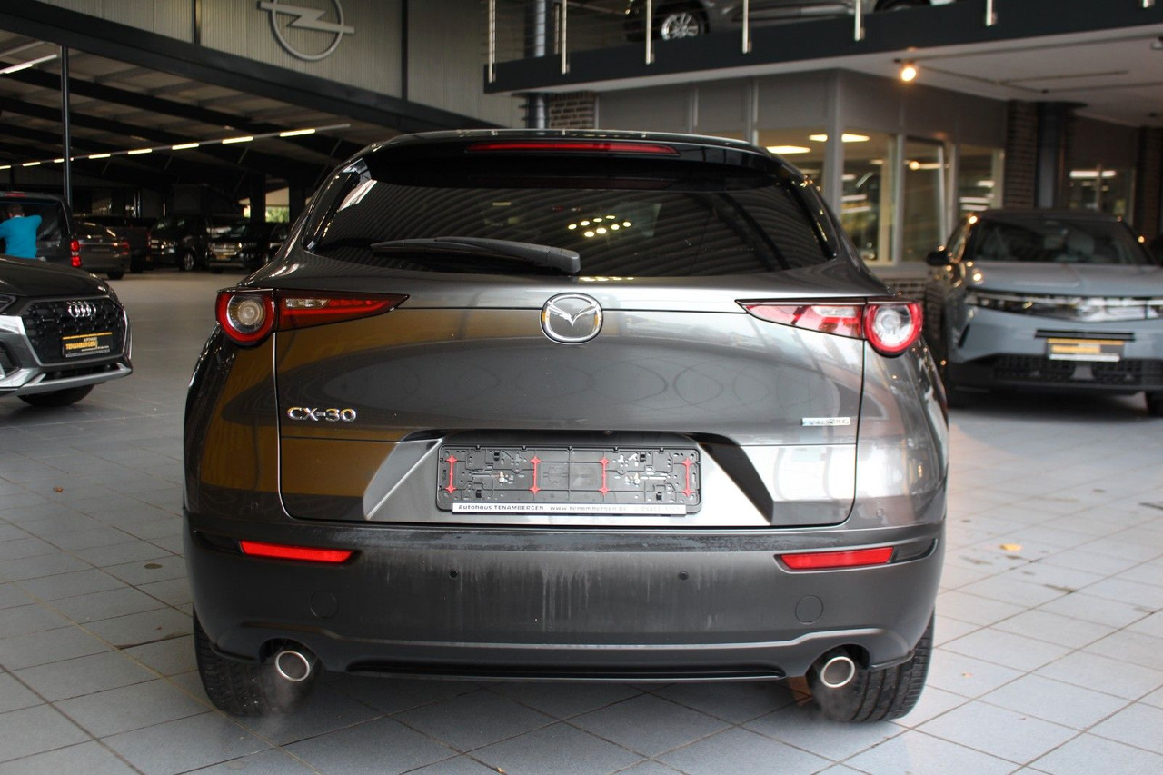 Mazda CX-30 Selection 2WD Matrix Bose HuD Navi SR + WR - SUV: Foto 5 Mazda CX-30 Selection 2WD Matrix Bose HuD Navi SR + WR - SUV: Foto 5