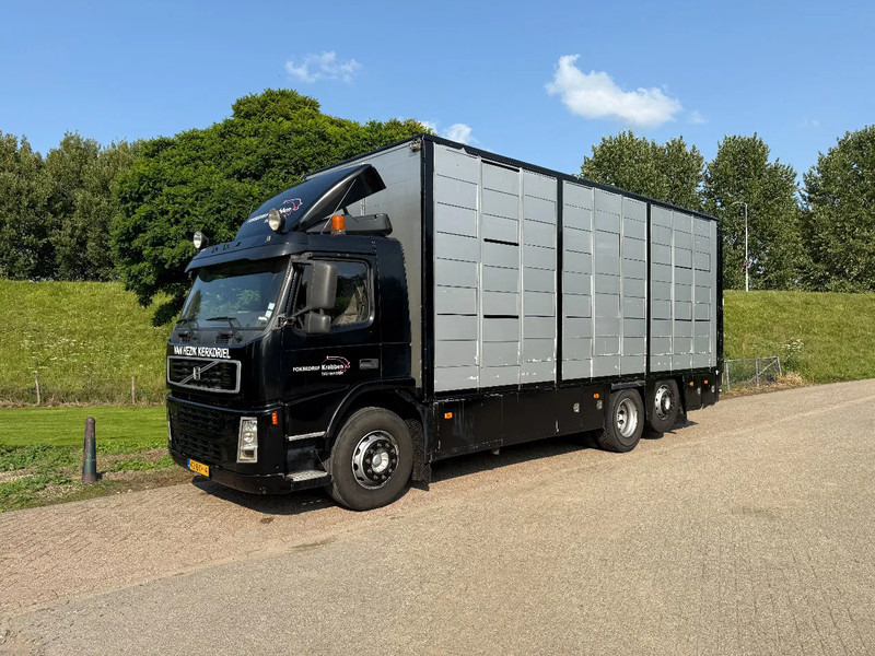 Volvo FM 300 Livestock Cuppers 3 laags 6x2 - Camion transport animale: Foto 3 Volvo FM 300 Livestock Cuppers 3 laags 6x2 - Camion transport animale: Foto 3