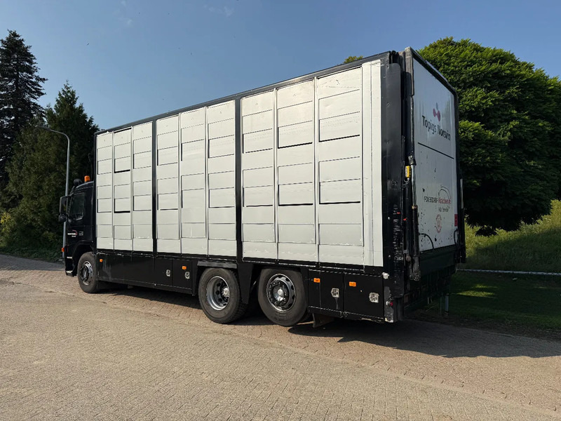 Volvo FM 300 Livestock Cuppers 3 laags 6x2 - Camion transport animale: Foto 5 Volvo FM 300 Livestock Cuppers 3 laags 6x2 - Camion transport animale: Foto 5