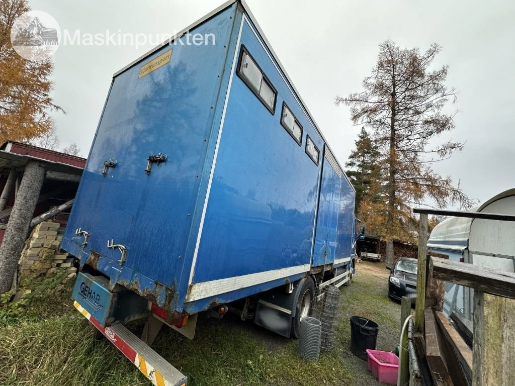 Volvo FH 12 - Camion transport animale: Foto 4 Volvo FH 12 - Camion transport animale: Foto 4