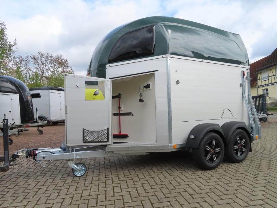 Böckmann Pferdeanhänger Champion R Flügeltür Saka. 100km/h - Remorcă transport cai: Foto 5 Böckmann Pferdeanhänger Champion R Flügeltür Saka. 100km/h - Remorcă transport cai: Foto 5