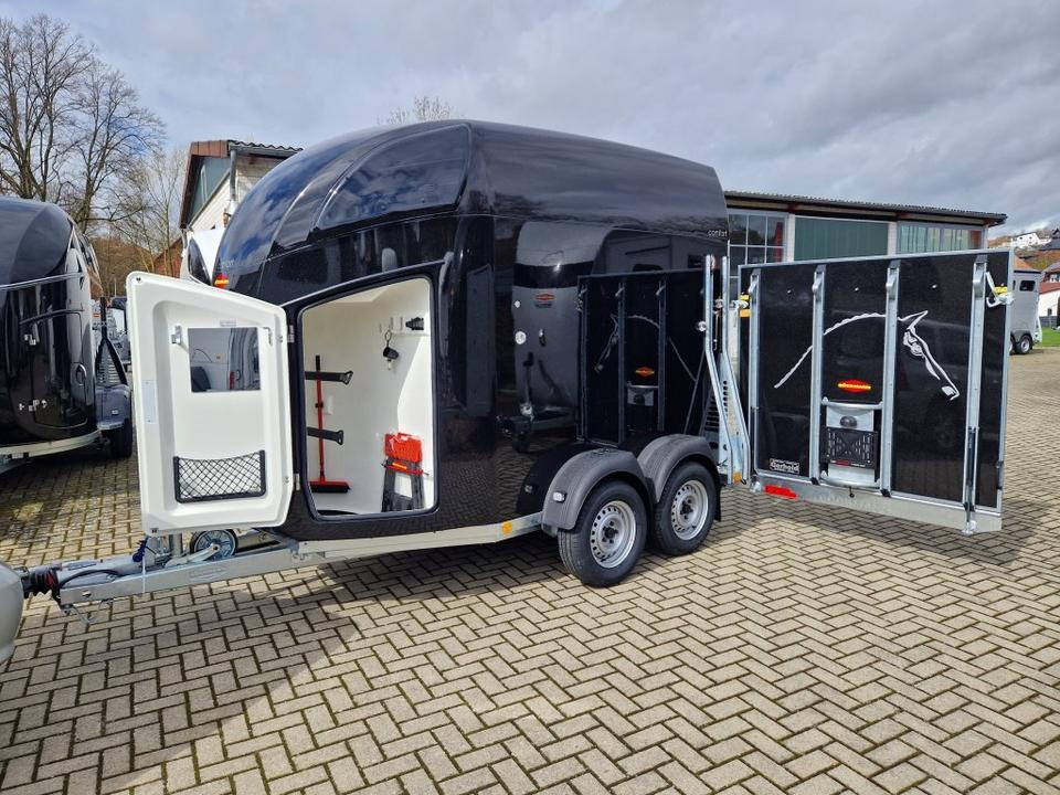 Böckmann Pferdeanhänger, Comfort, Flügeltür,100 km/h,Aluboden - Remorcă transport cai: Foto 1 Böckmann Pferdeanhänger, Comfort, Flügeltür,100 km/h,Aluboden - Remorcă transport cai: Foto 1