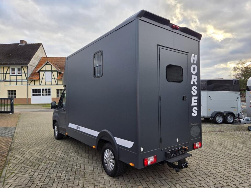 MSG Stablehopper Pferdetransporter Pferdeanhänger Böckmann - Camion transport cai: Foto 4 MSG Stablehopper Pferdetransporter Pferdeanhänger Böckmann - Camion transport cai: Foto 4