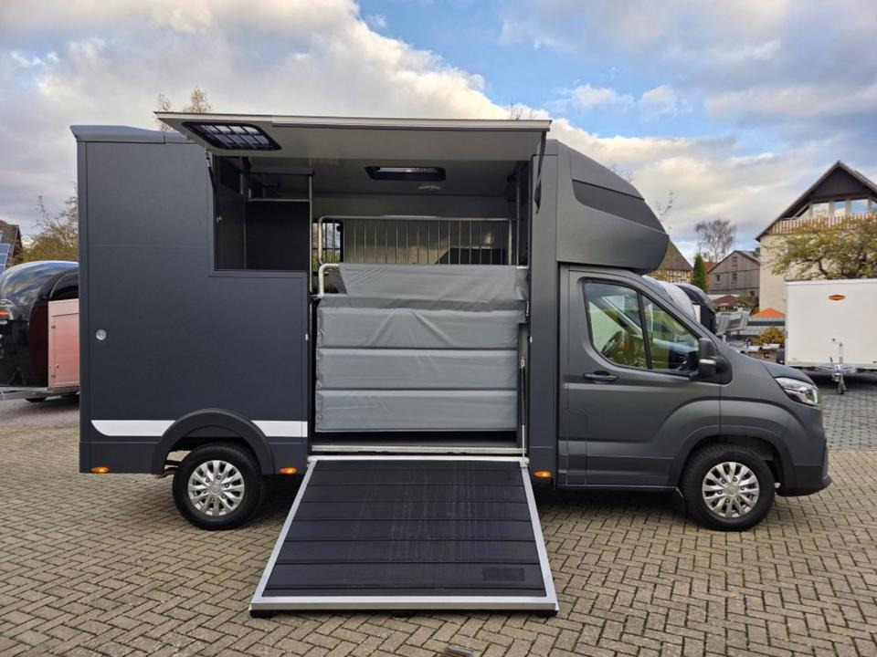 MSG Stablehopper Pferdetransporter Pferdeanhänger Böckmann - Camion transport cai: Foto 5 MSG Stablehopper Pferdetransporter Pferdeanhänger Böckmann - Camion transport cai: Foto 5