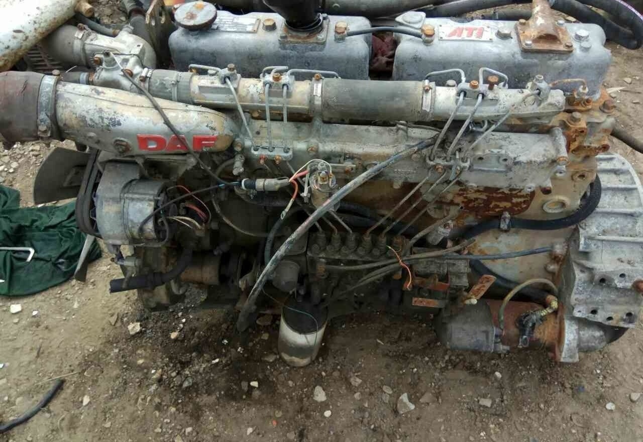 DAF ATI WS259 E2 DAF - Motor pentru Camion: Foto 1 DAF ATI WS259 E2 DAF - Motor pentru Camion: Foto 1