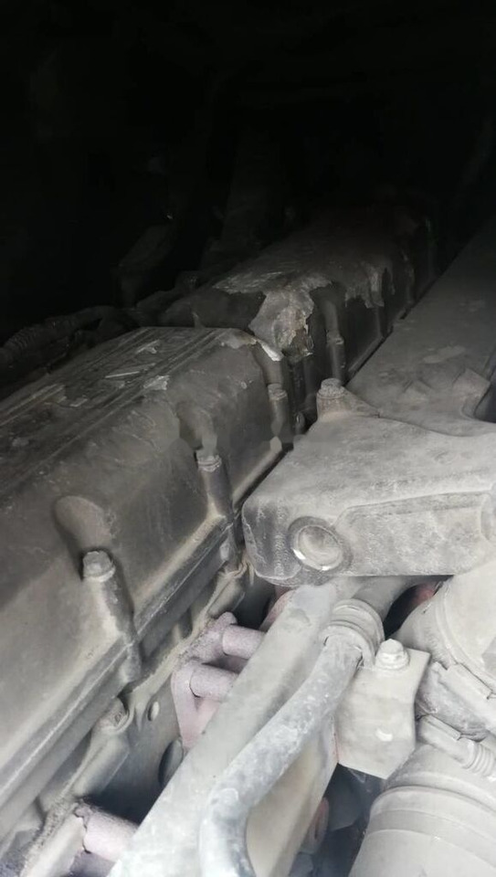 DAF XE315C 430 E3 DAF XF 95 - Motor pentru Camion: Foto 1 DAF XE315C 430 E3 DAF XF 95 - Motor pentru Camion: Foto 1