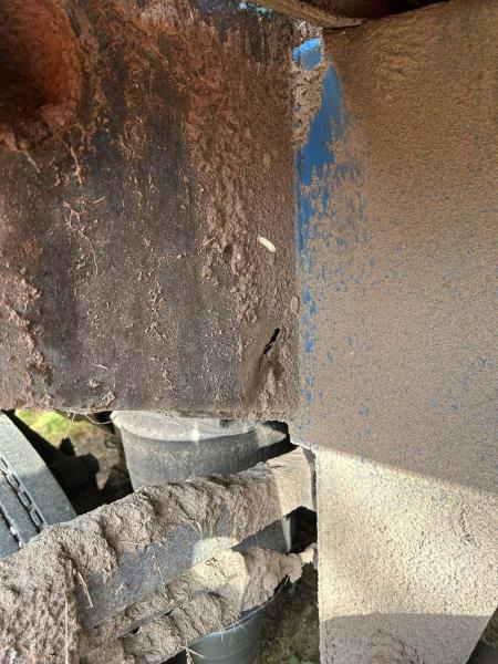 Semiremorcă transport busteni Diebolt grue avec grappin rotatif: Foto 16