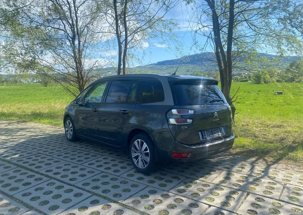 Leasing de  Citroën C4 Grand Picasso BlueHDi 120 EAT6 Selection Citroën C4 Grand Picasso BlueHDi 120 EAT6 Selection: Foto 17