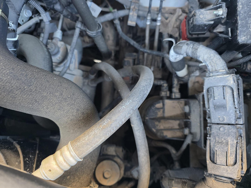 Camion şasiu nou Iveco Daily 35S14: Foto 6 Camion şasiu nou Iveco Daily 35S14: Foto 6