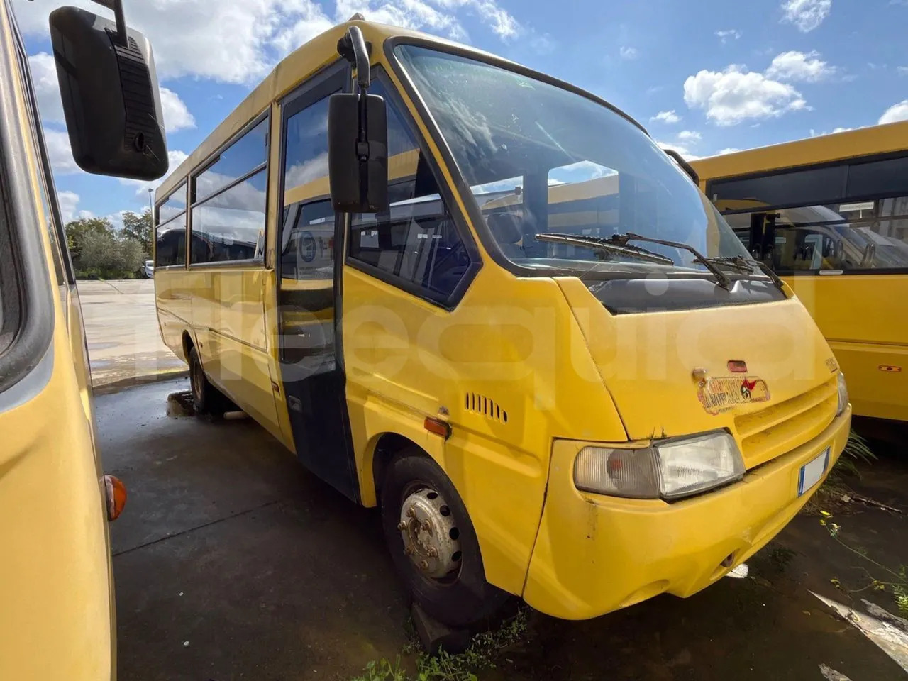 Iveco Cacciamali - Autobuz școlar: Foto 2 Iveco Cacciamali - Autobuz școlar: Foto 2