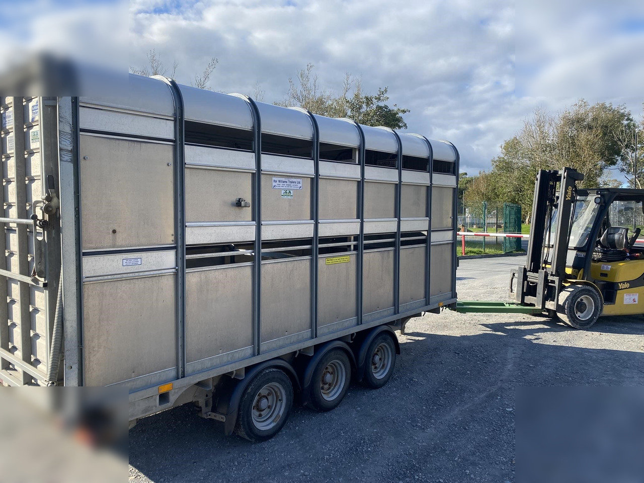 2017 IFOR WILLIAMS DP120G - Remorcă transport animale: Foto 4 2017 IFOR WILLIAMS DP120G - Remorcă transport animale: Foto 4